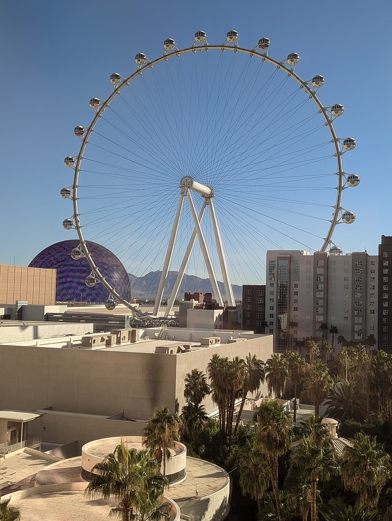 High Roller observation wheel, November 2024.